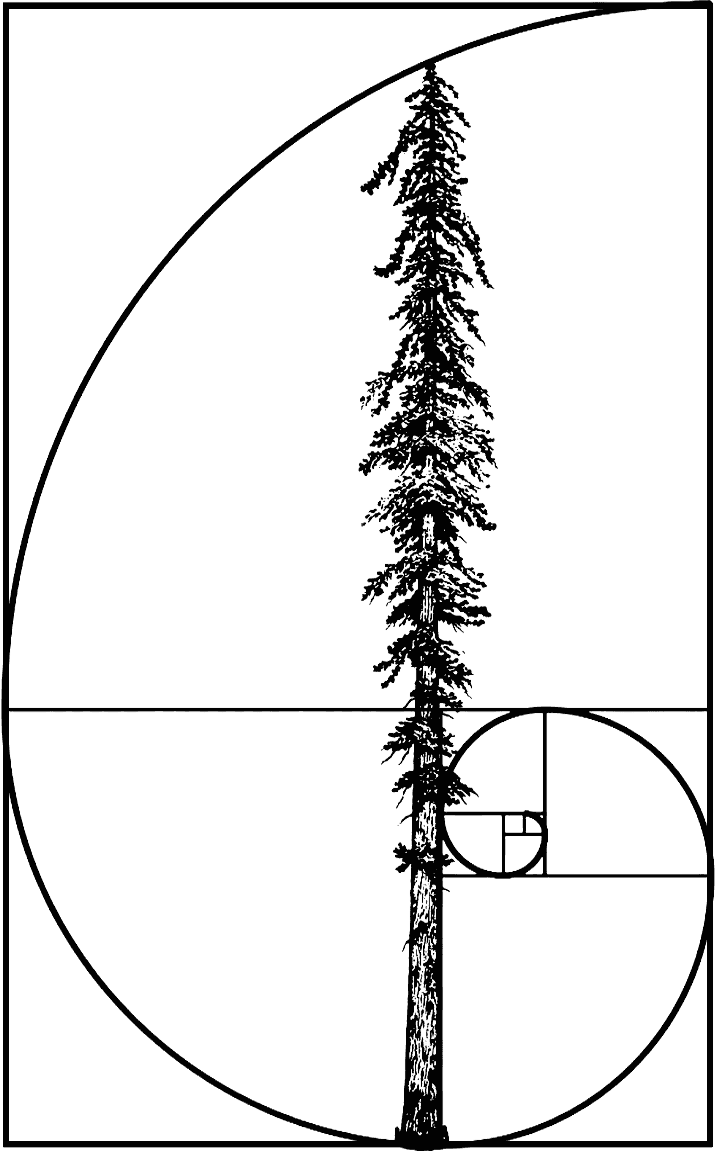 Bergeron Tree Experts logo
